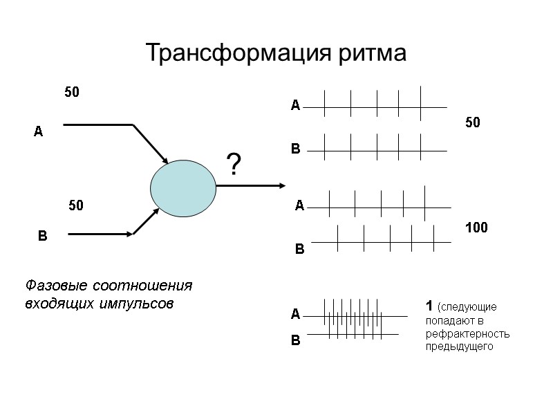 Трансформация ритма 50 50  А В 1 (следующие попадают в рефрактерность предыдущего Фазовые